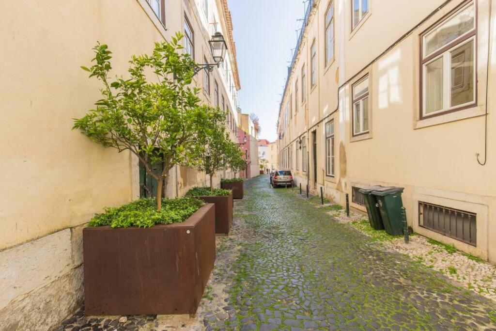 135 A - In Tranquil Flat In Alfama Near Se And Castle * Lissabon